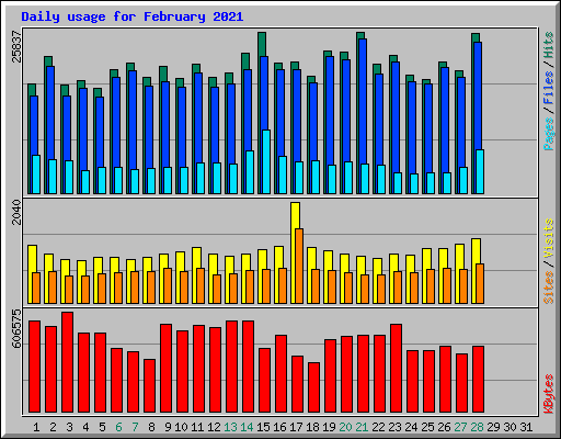 Daily usage for February 2021