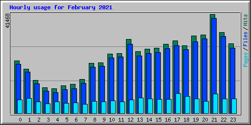 Hourly usage for February 2021