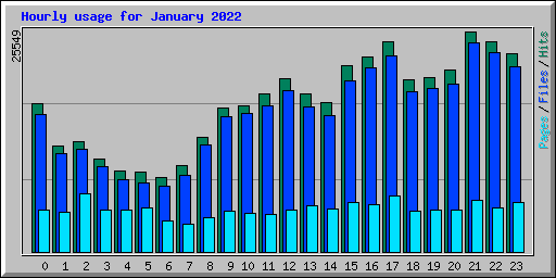 Hourly usage for January 2022