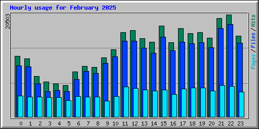 Hourly usage for February 2025