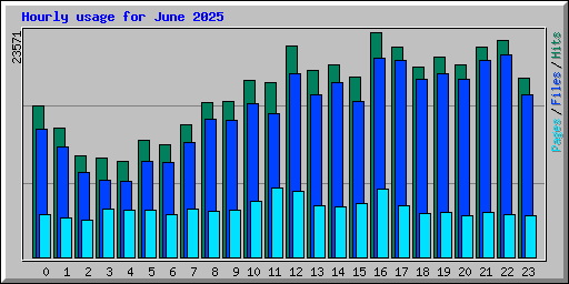 Hourly usage for June 2025