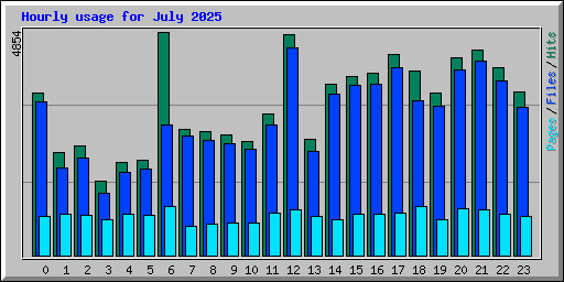 Hourly usage for July 2025