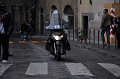 firenze016_s.jpg