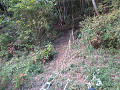 IMG_1589_s.jpg