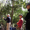 image-03b6b806fb6b8395644493a78ea6a7b5608d7ed241e90141278f8d33e0e7a31f-V_s.jpg