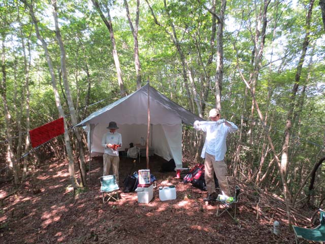 20160731_02.jpg