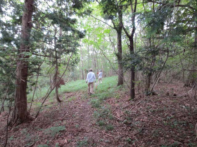 20160731_09.jpg