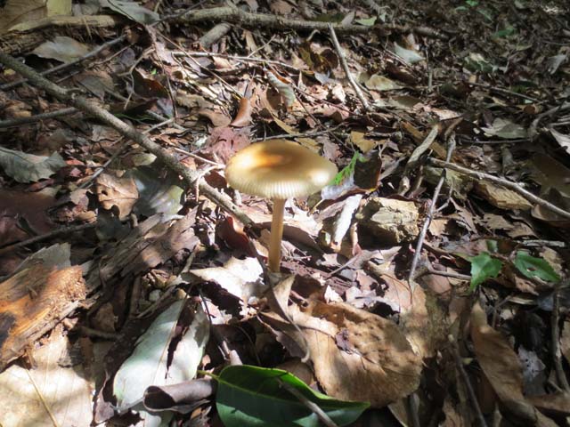 20161010_28.jpg