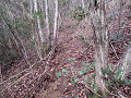 20161223_05_s.jpg