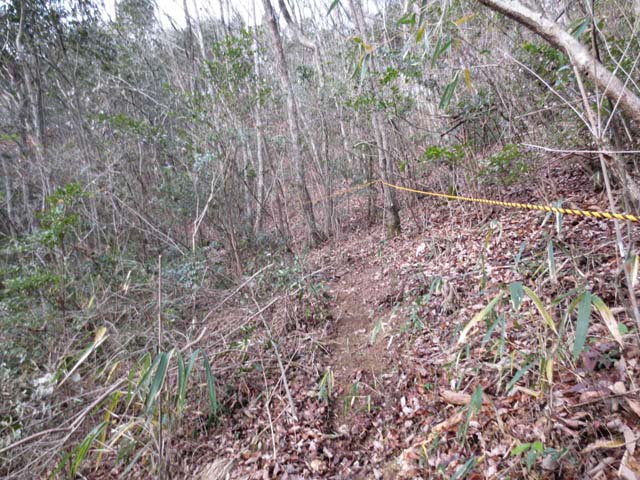 20161223_18.jpg