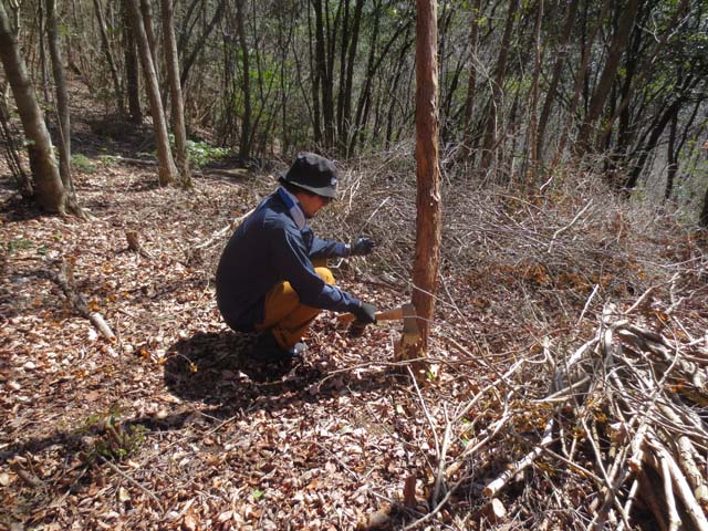 20170219_08.jpg