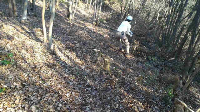 20170219_14.jpg