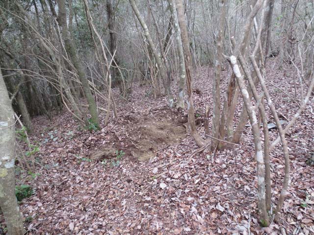 20170326_20.jpg